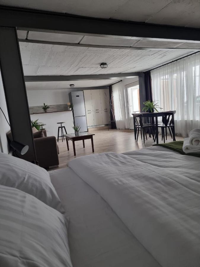 锡比乌The Cozy Bunker公寓 外观 照片